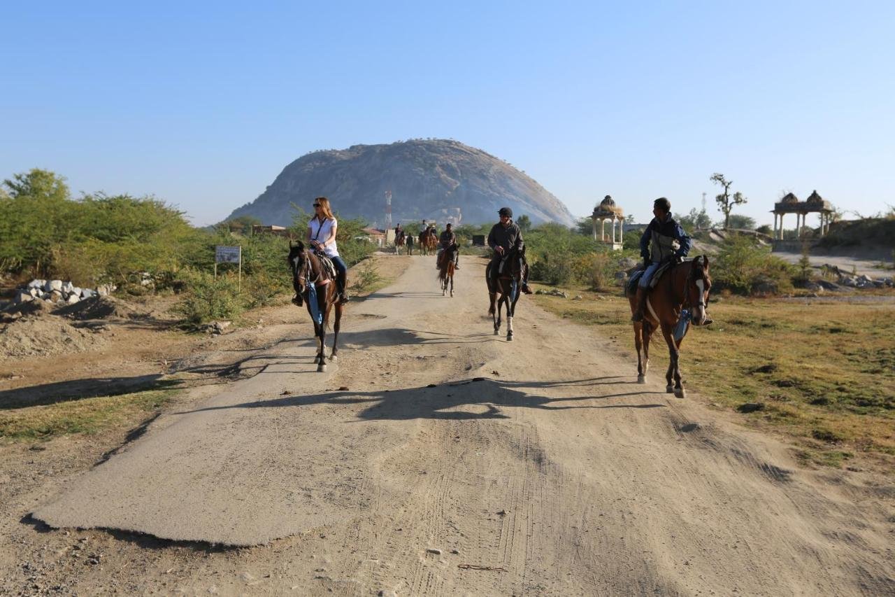 Luxury horseback riding: group ride through nature
